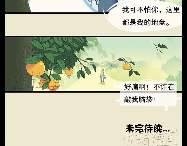 第1话 我是桔子大王！ 第23页