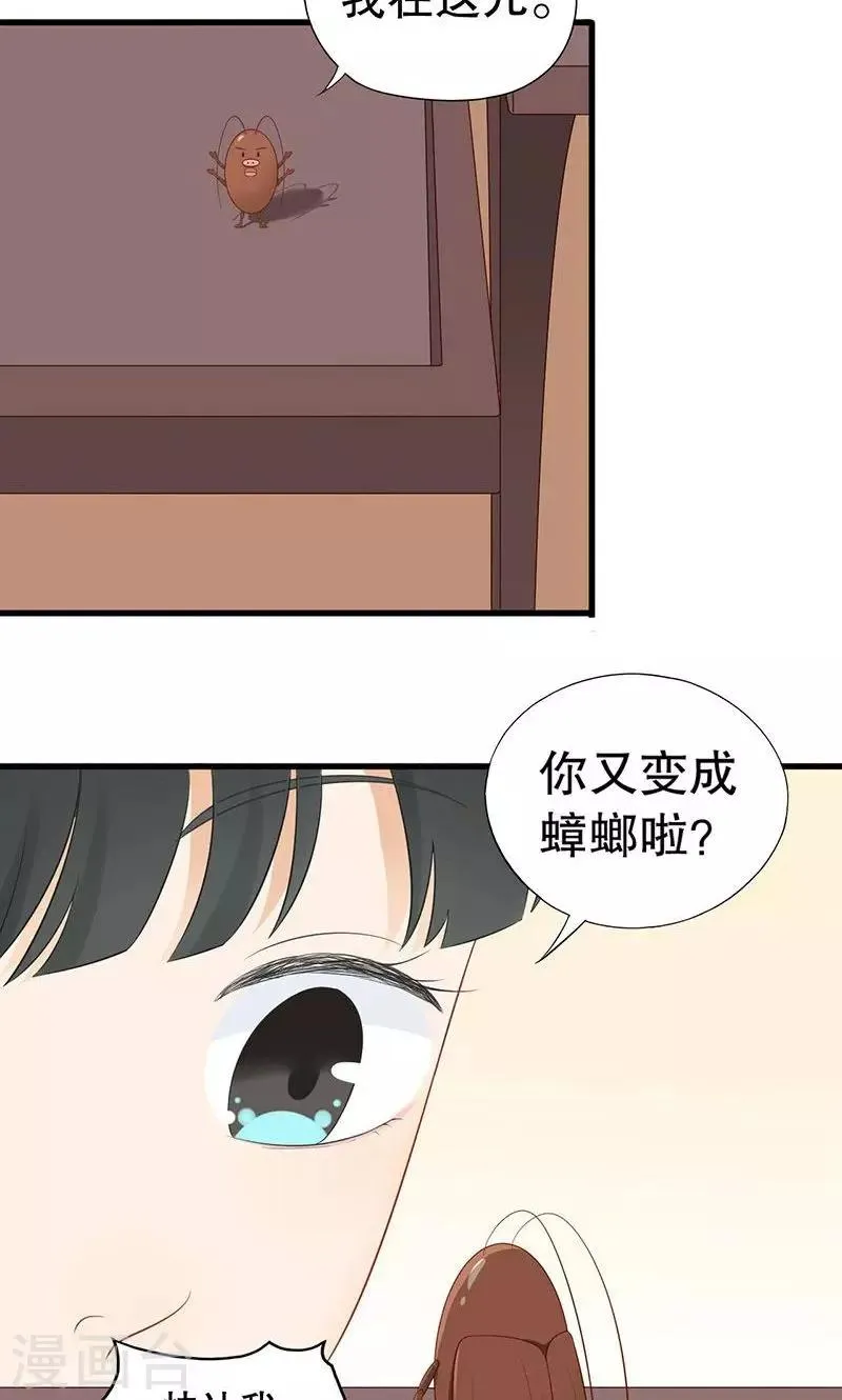 第5话 和我签订契约吧！ 第33页