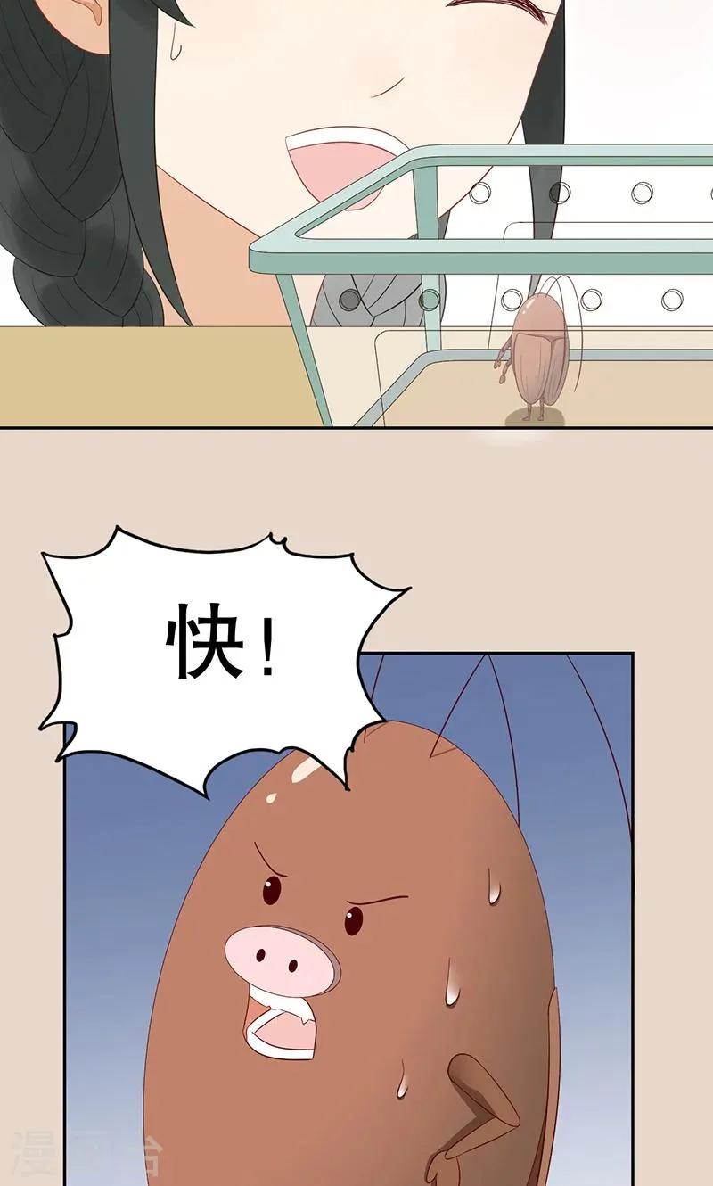 第7话 旺财 第10页