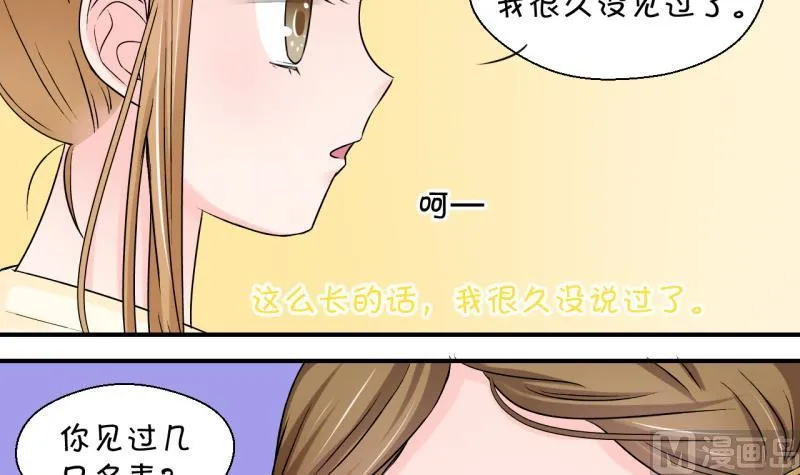 第81话 回家去找男神 1 第6页