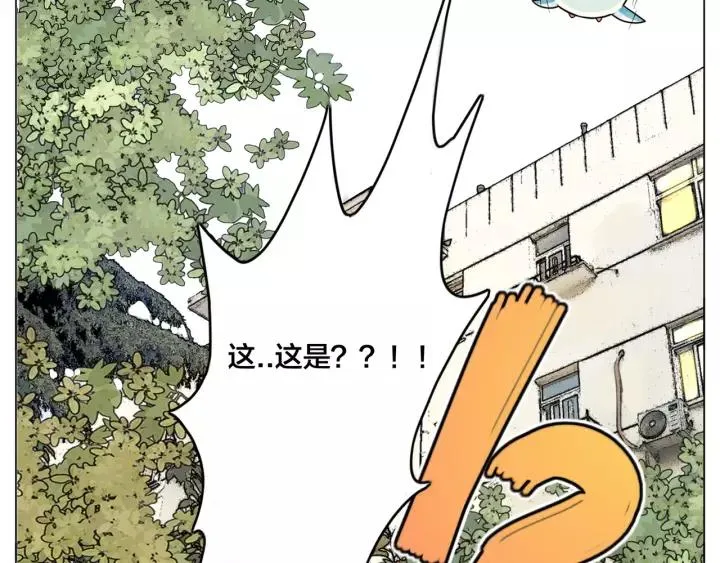 番外 新成员 第64页