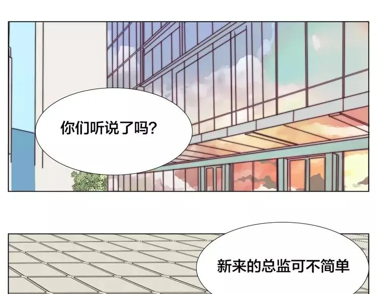 第28话 新任女总监！ 第5页