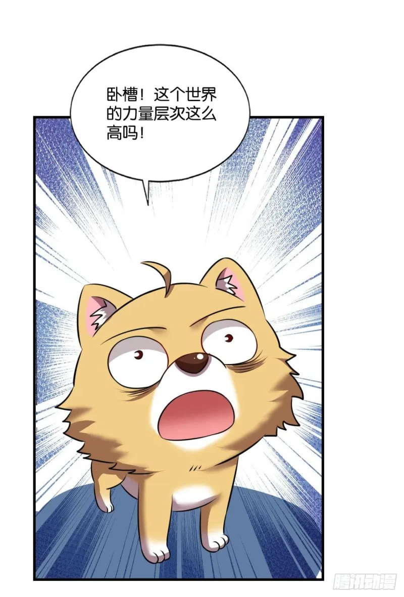 愿海波平 第10页