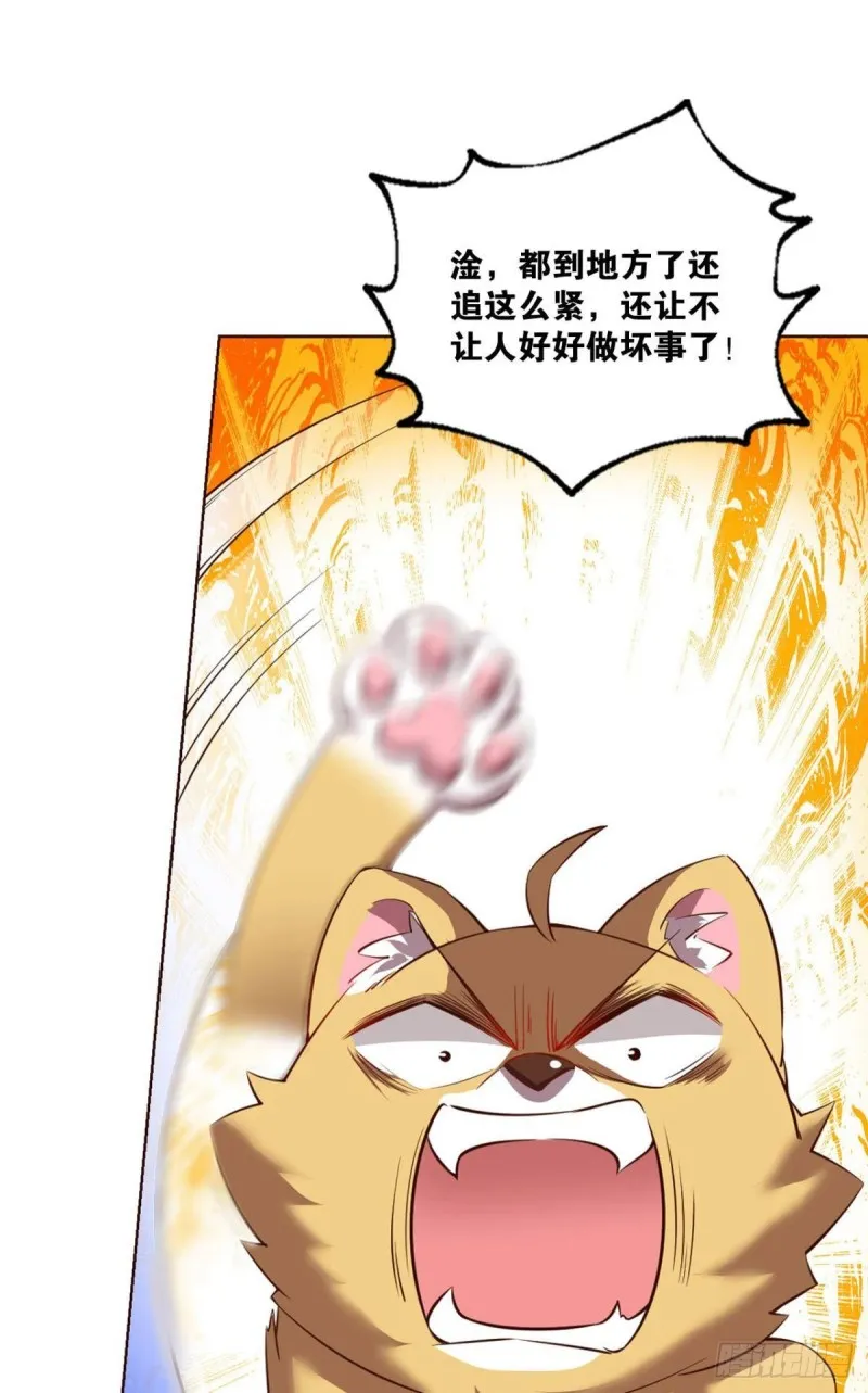 被一招秒了，有什么好说的 第26页
