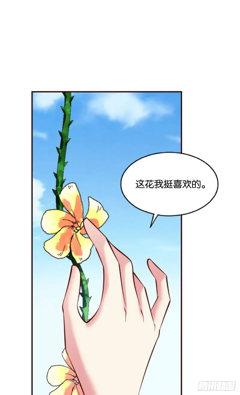 花与蝶 第25页