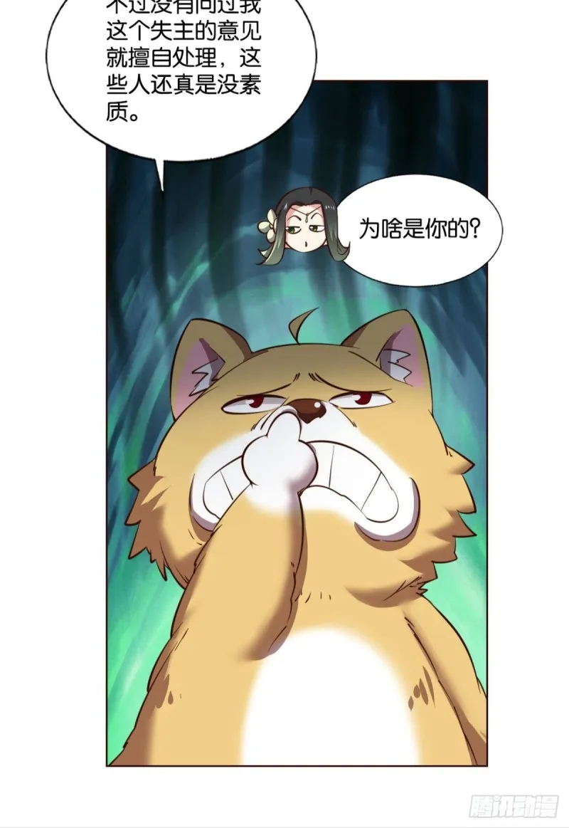正道的光 第14页