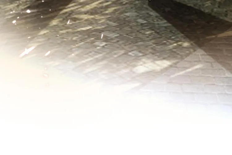 第117话 不要带走我的孩子 第95页