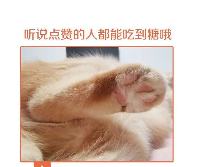 第47话 不哭 第139页