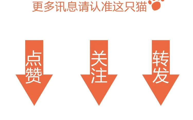 第70话 初恋和挚爱都是你 第110页