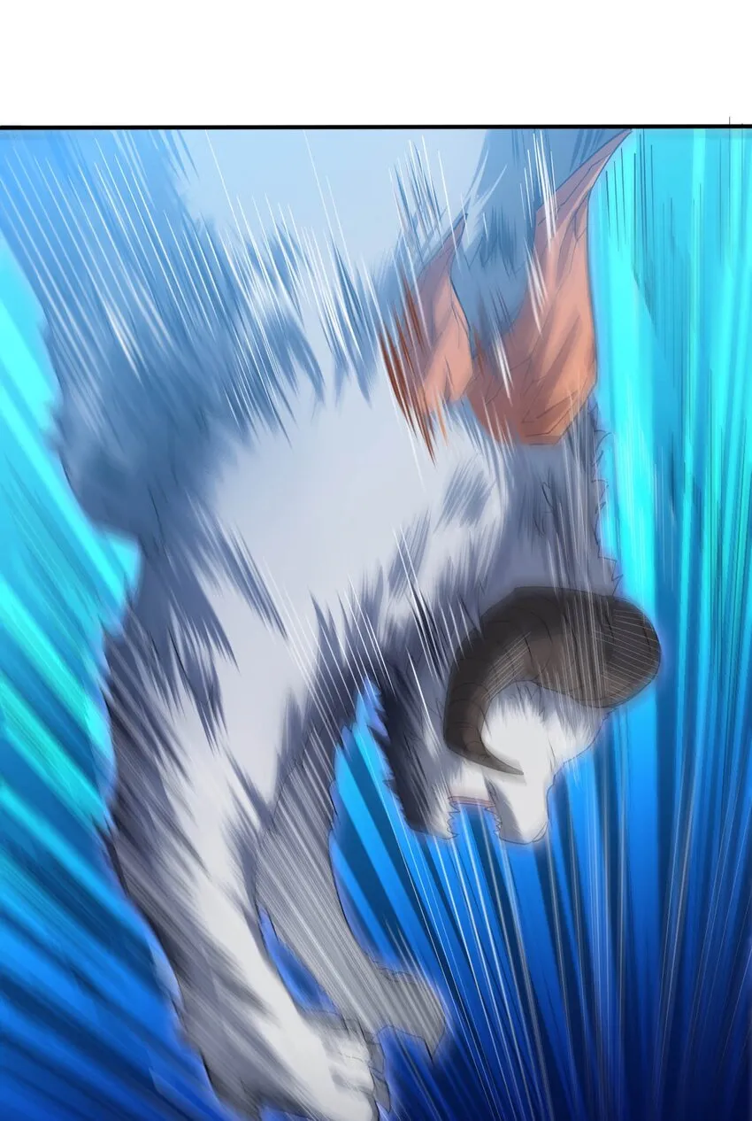 33 糖果独角猪 第30页