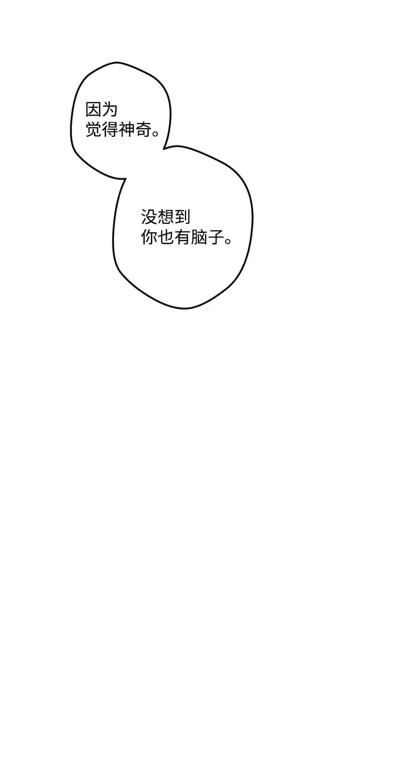 20 妙计 第40页