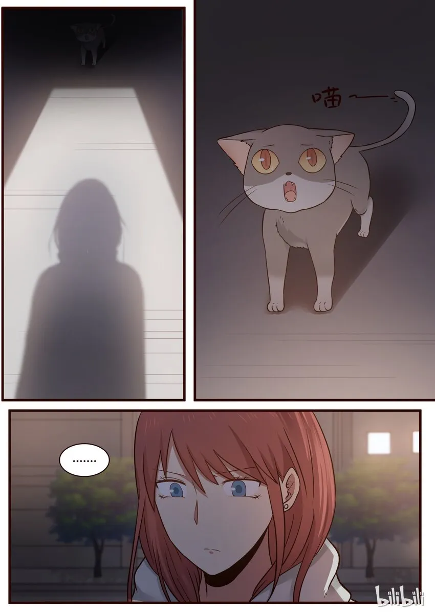 S1·242 第4页