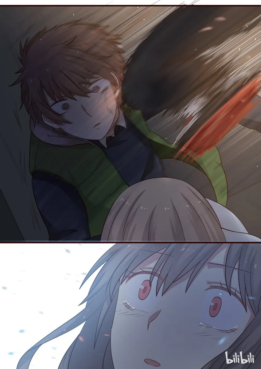 S1·244 第8页