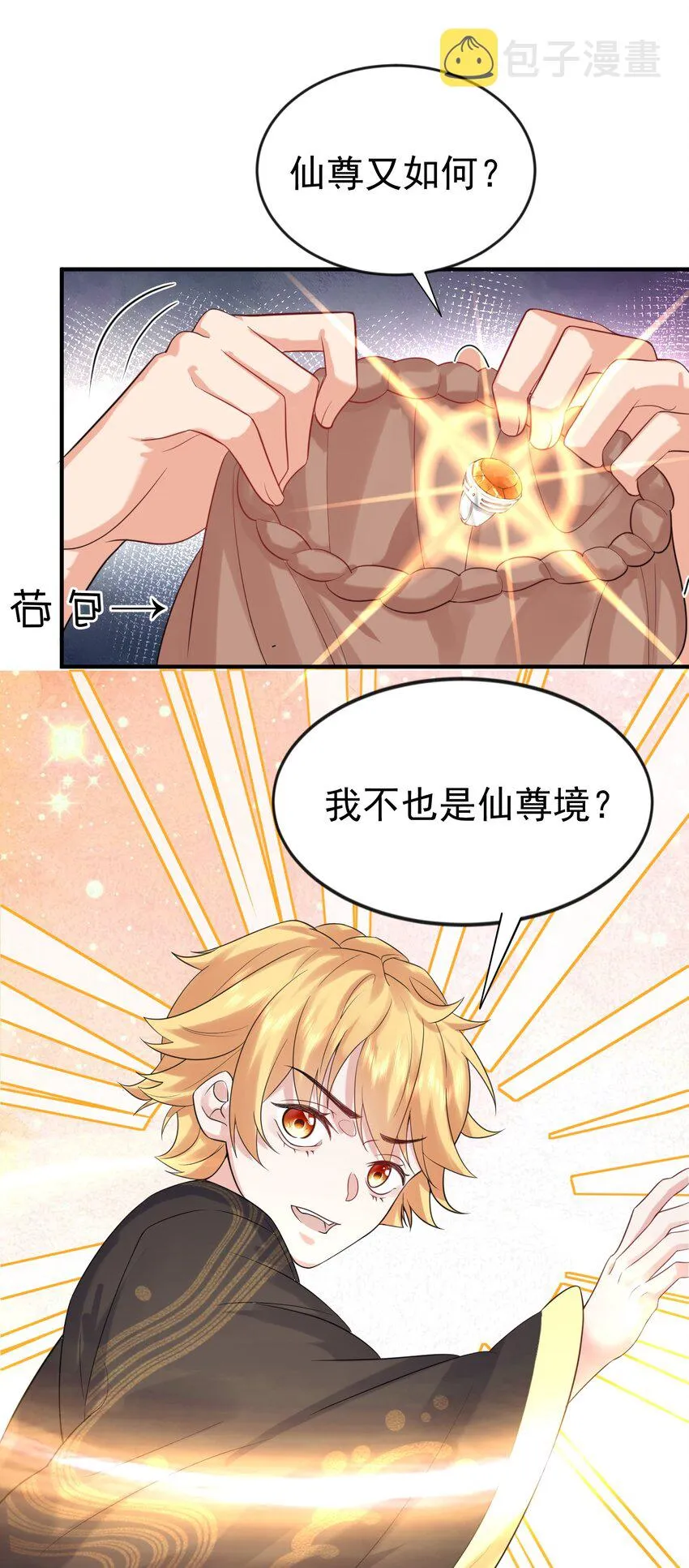 111 龙凤护卫 第28页