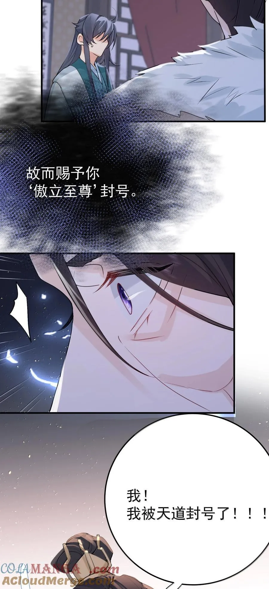 293 一定是巧合 第43页