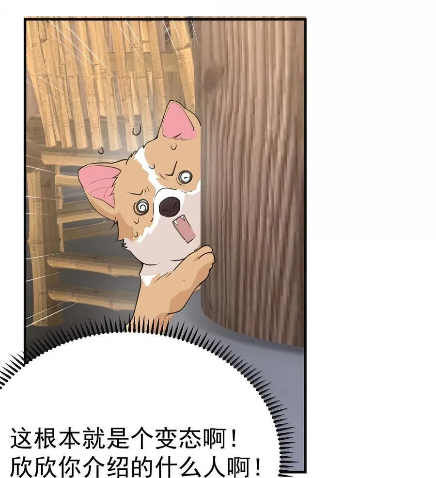 304 你简直是无赖 第36页