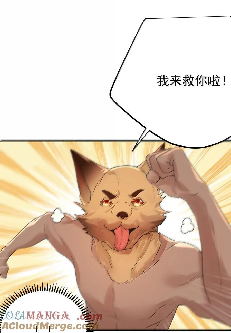 311 弥天纱幕 第29页