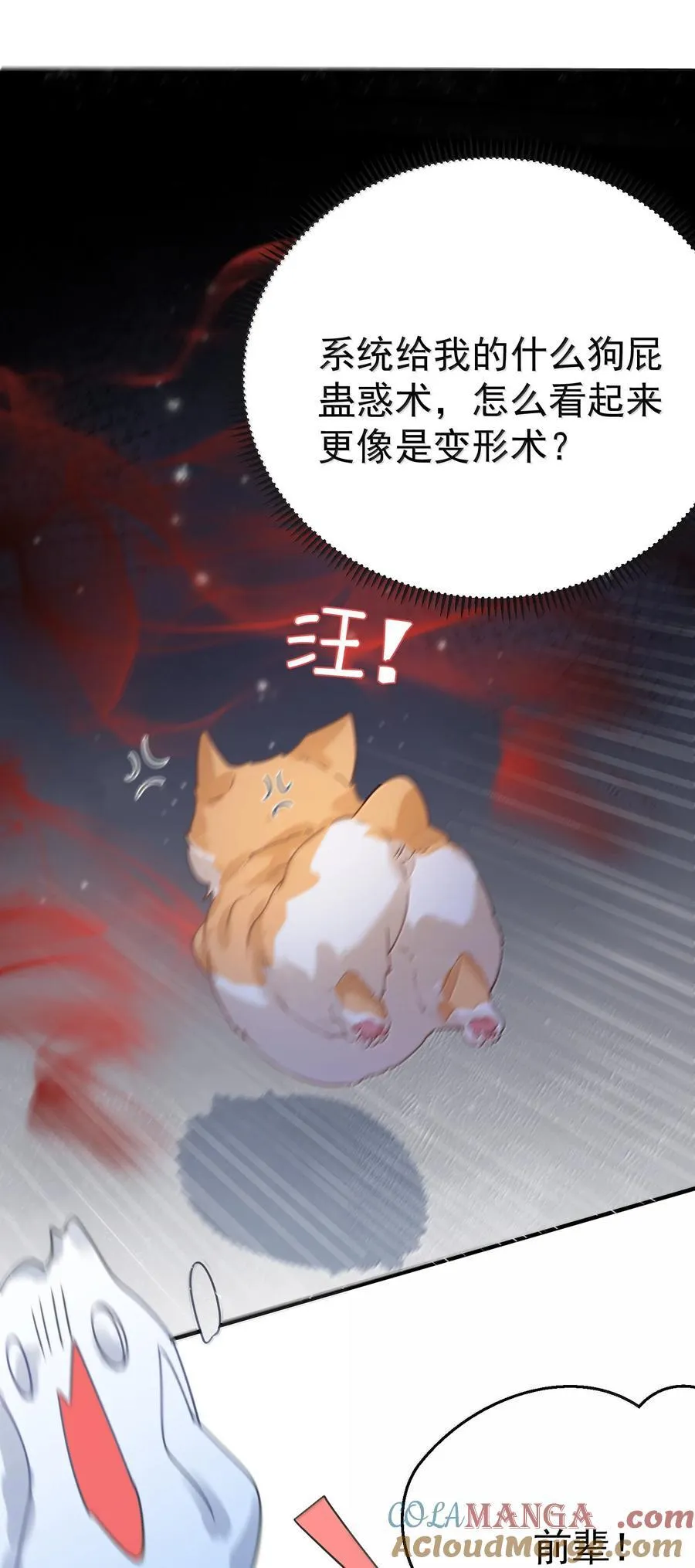 311 弥天纱幕 第37页