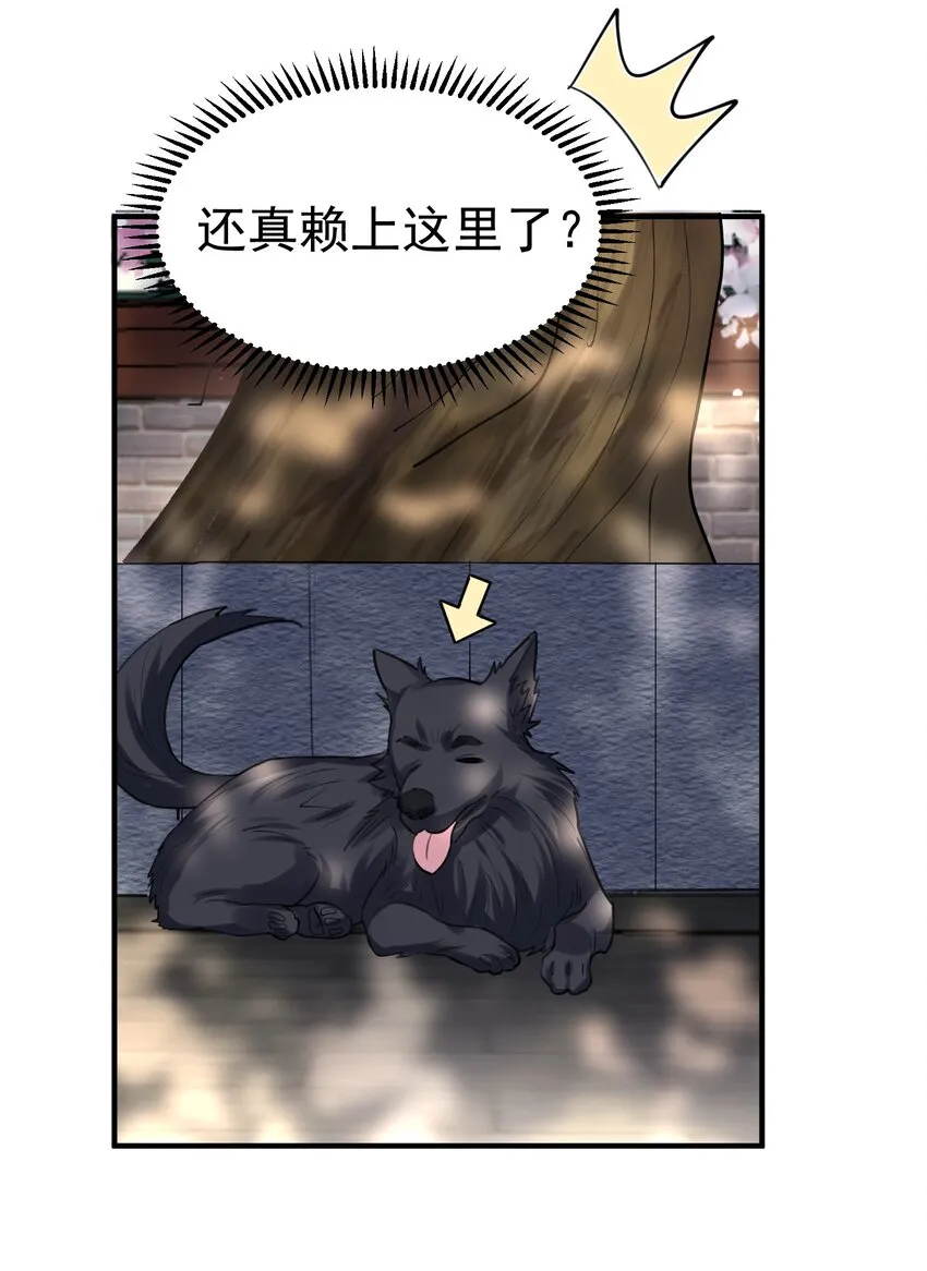 039 任务：收徒一万 第6页