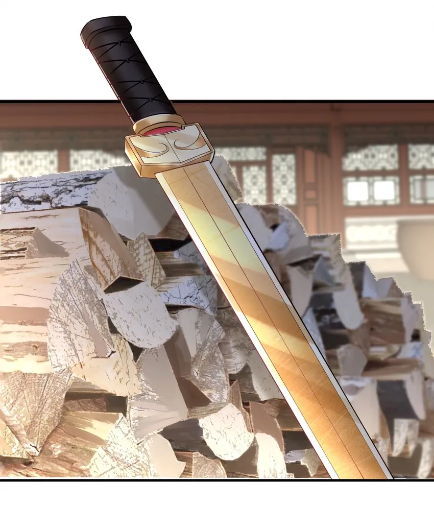 021 金翎神器 第33页