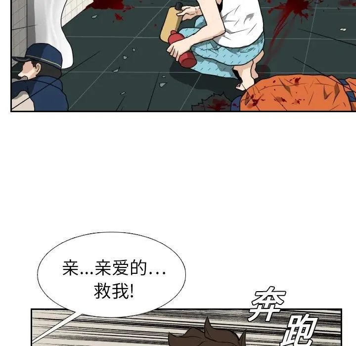 16 第41页