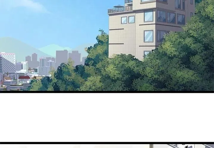 13 第3页
