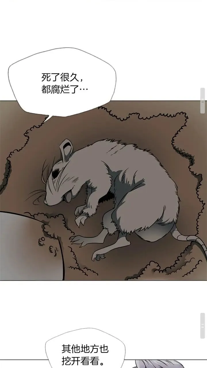 第23话 死老鼠 第18页