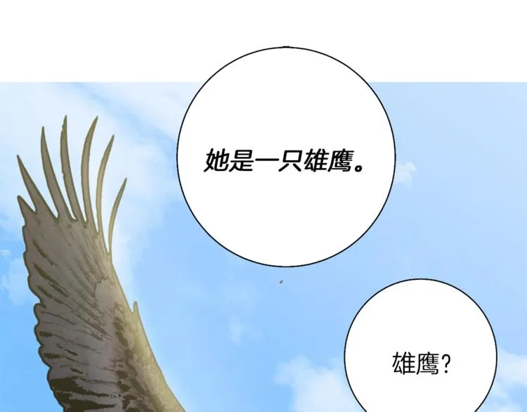 第91话 雄鹰 第125页