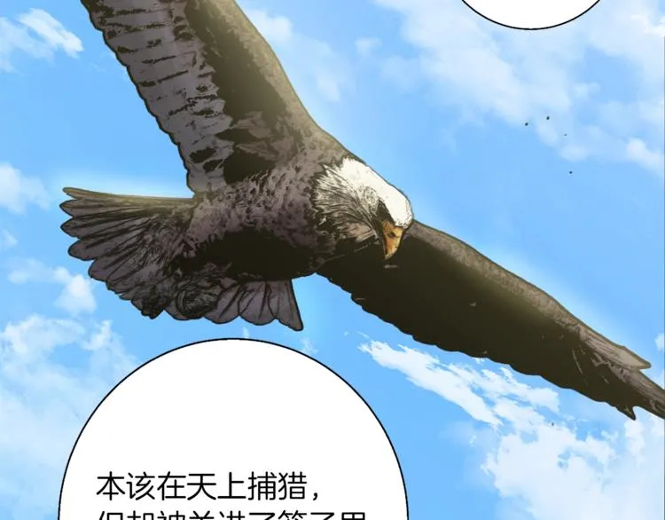 第91话 雄鹰 第126页