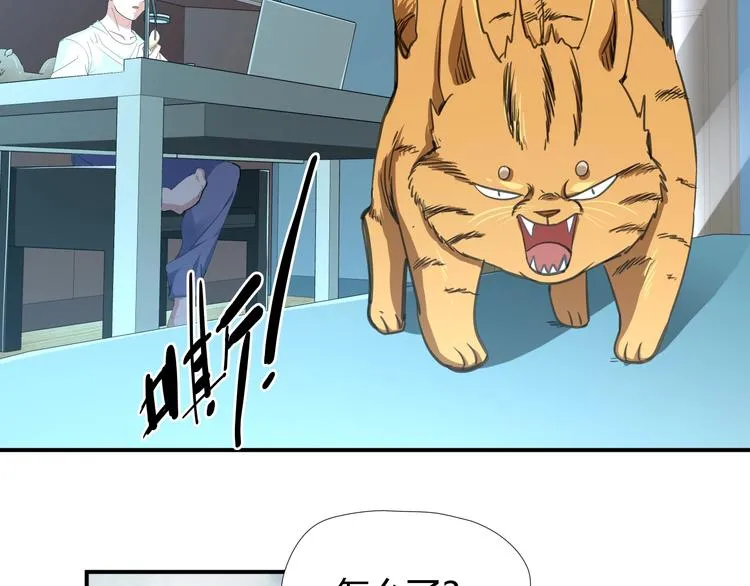 第7话 不准伤害我的小猫！ 第31页