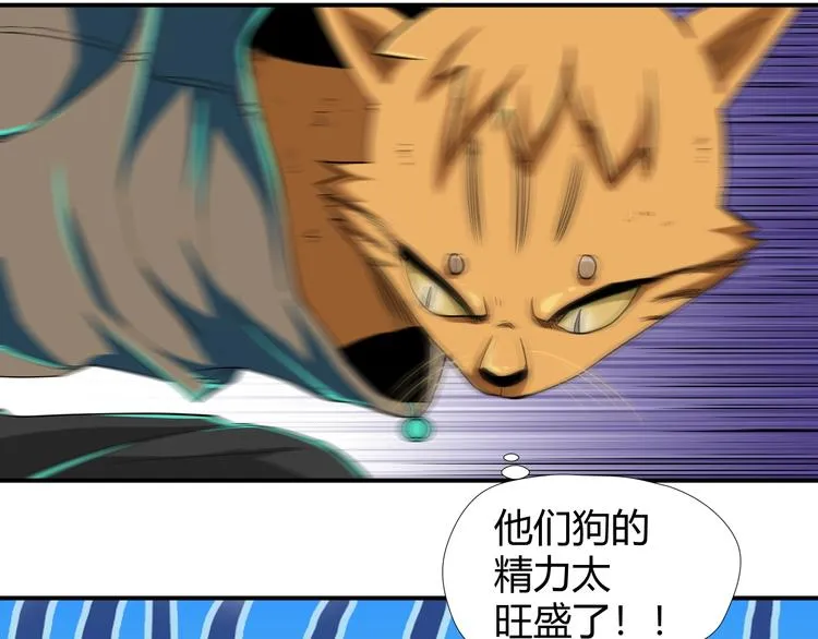 第7话 不准伤害我的小猫！ 第79页