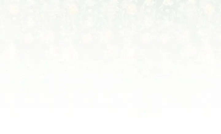 第一季完结 等你告白 第63页