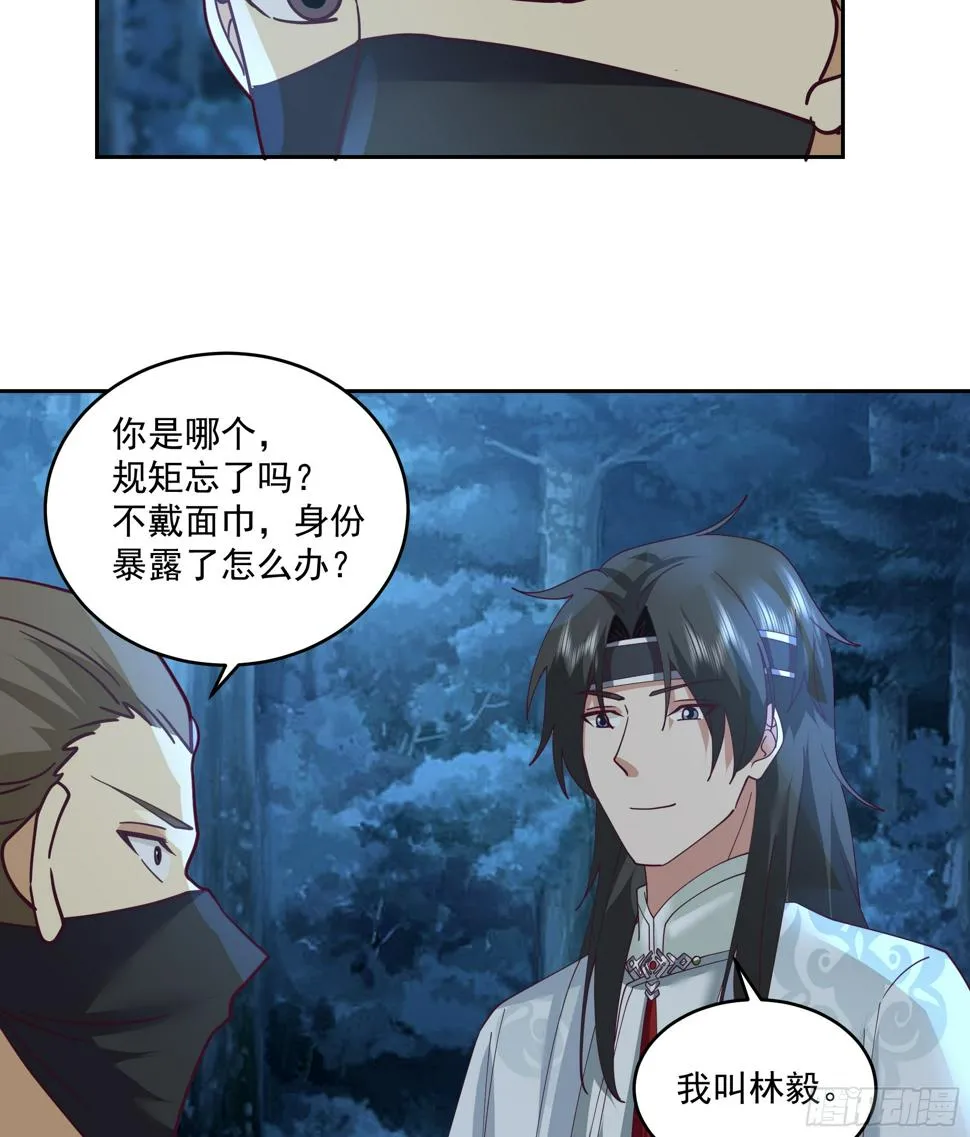 偃师 第29页