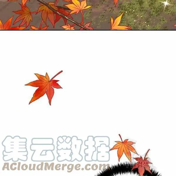 191 第45页
