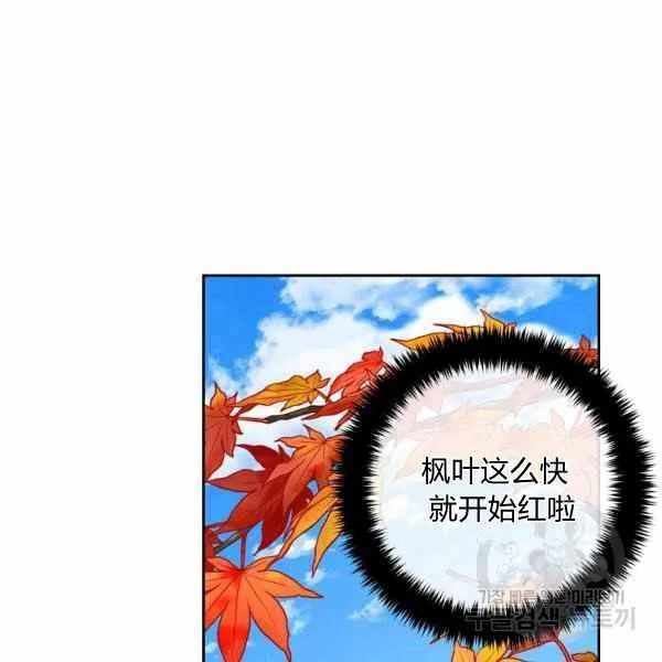 191 第50页