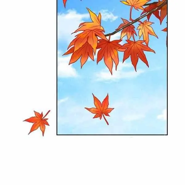 191 第51页