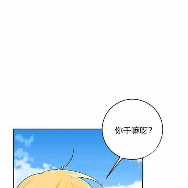 191 第95页
