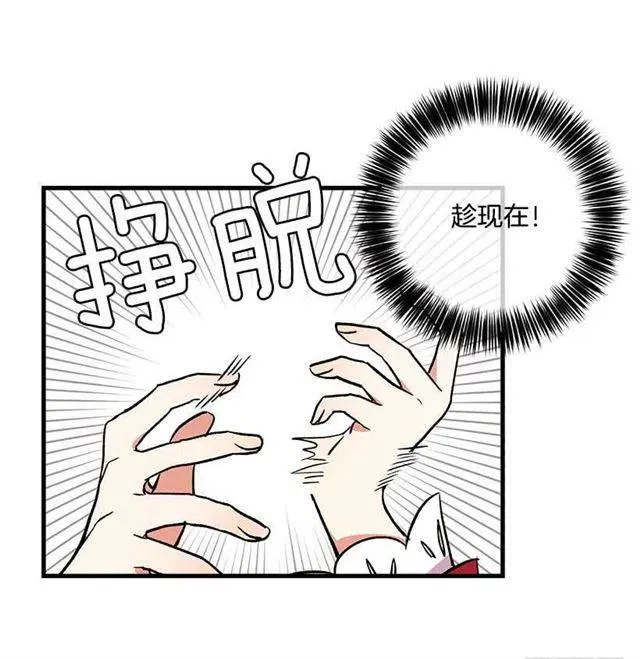 原来是公爵少爷 第11页