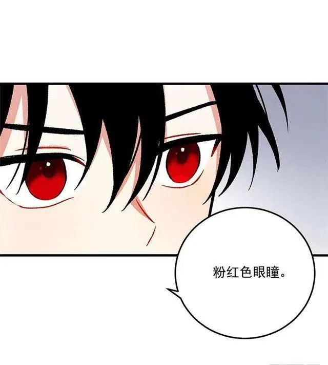 原来是公爵少爷 第41页