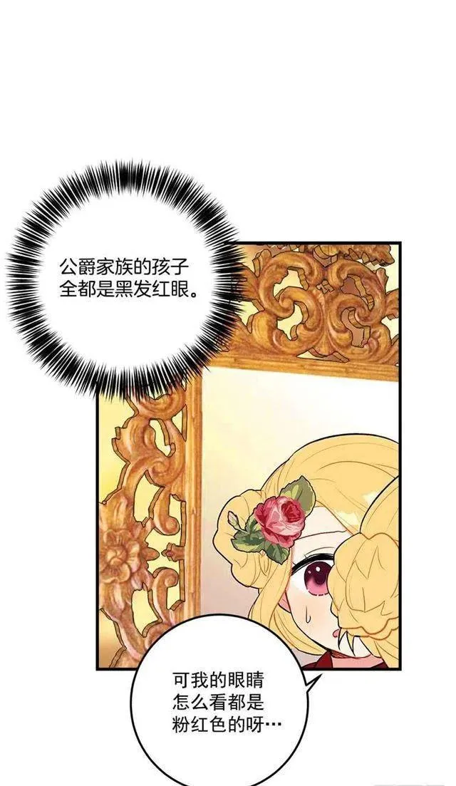 公爵家族的秘密 第26页