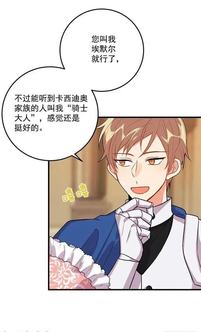 贴身骑士埃默尔 第5页