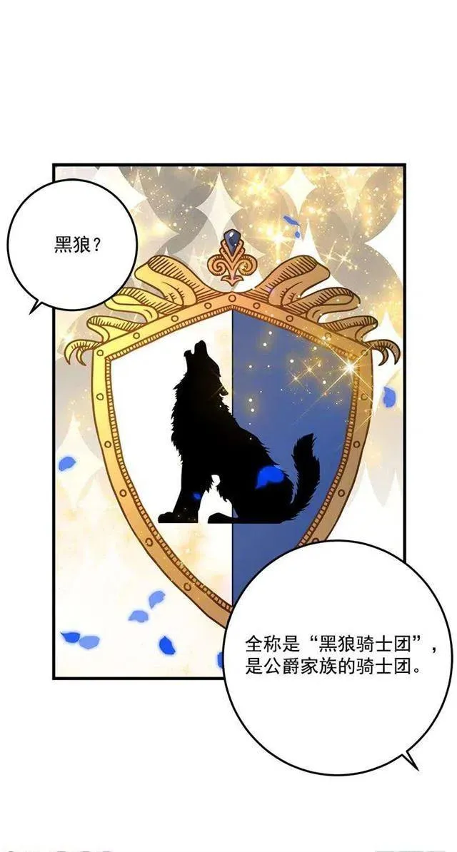 贴身骑士埃默尔 第9页
