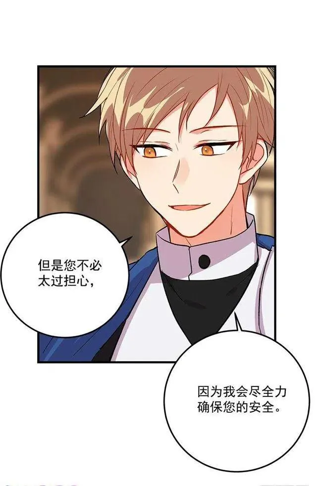 贴身骑士埃默尔 第12页