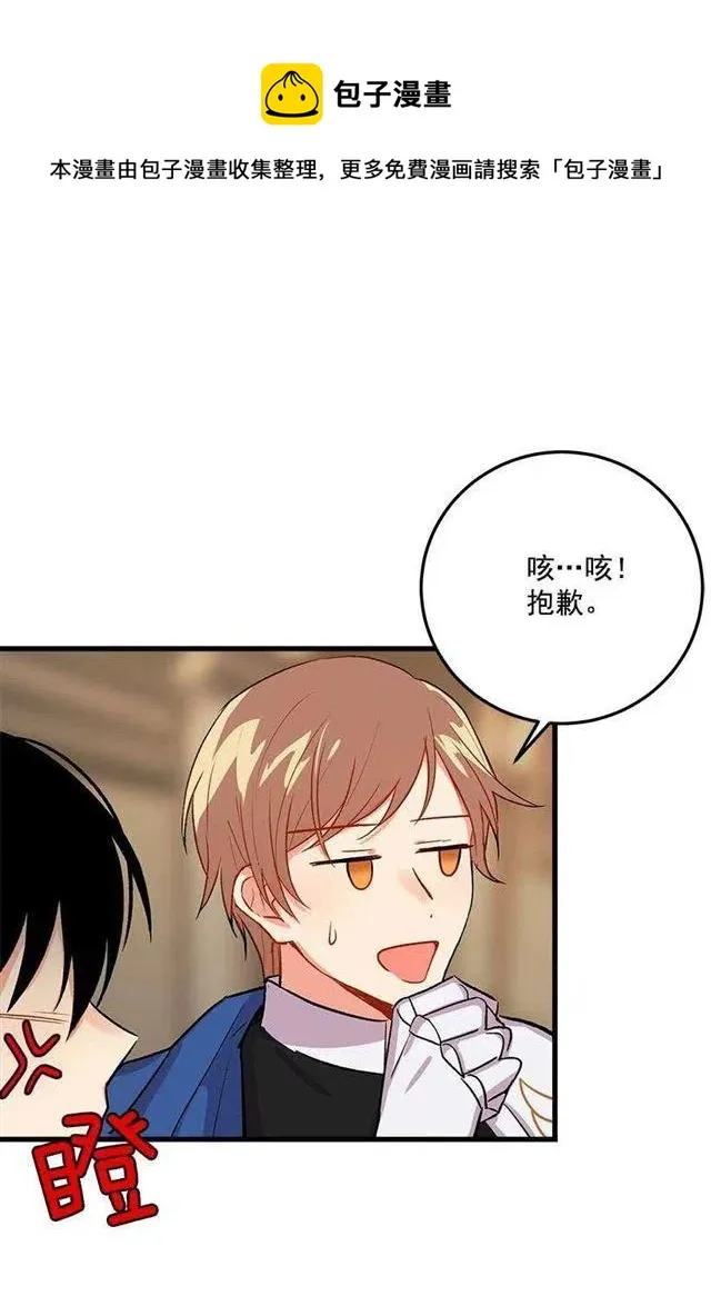 贴身骑士埃默尔 第33页