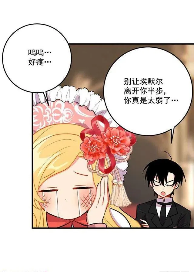 贴身骑士埃默尔 第36页