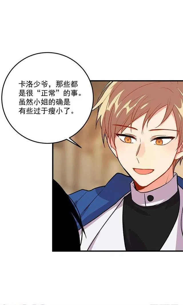 贴身骑士埃默尔 第38页