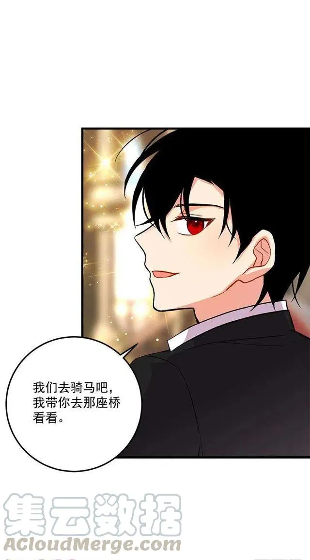 贴身骑士埃默尔 第43页