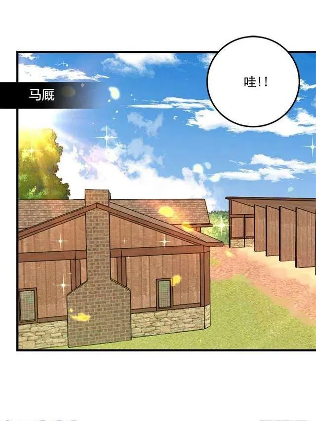 精灵石 第3页