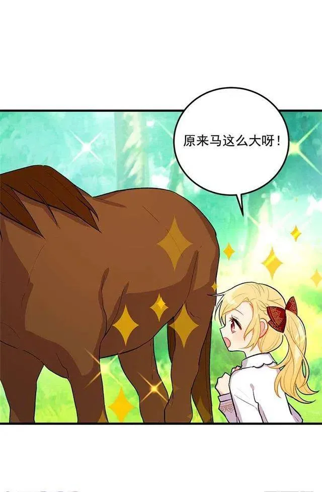 精灵石 第5页
