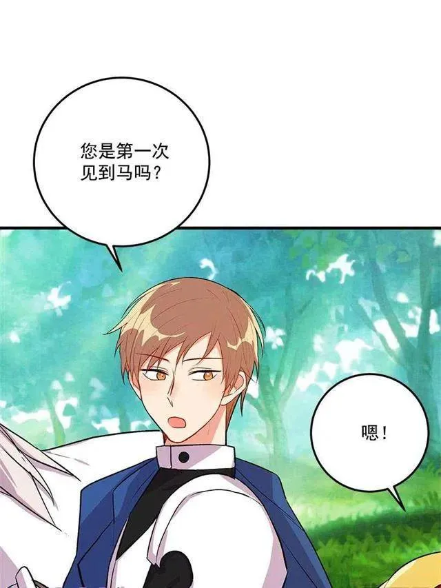 精灵石 第6页